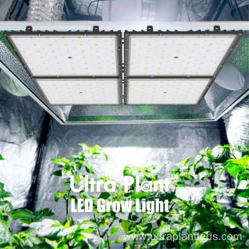 Full Spectrum SMD5050 LED Grow Lights UV IR